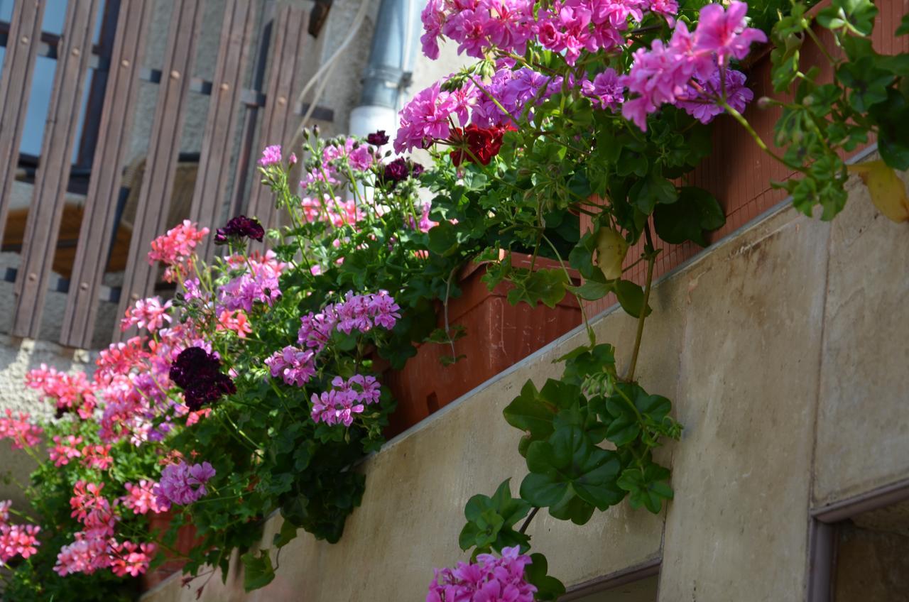 Villa Rosi โซโซโปล ภายนอก รูปภาพ